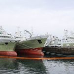 Un saqueo de 2.500 millones de euros: La flota gallega capturó más de 95 mil toneladas del calamar en Malvinas
