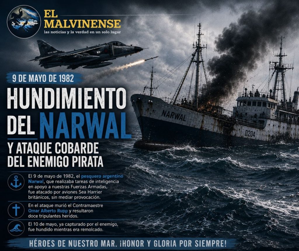 narwal