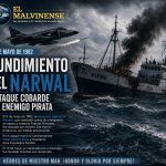 narwal